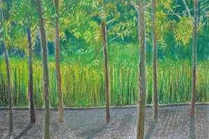 forrest